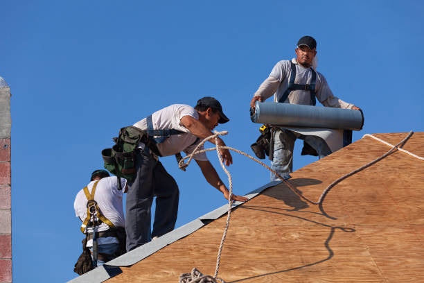Best Gutter Installation and Roofing  in Harleigh, PA